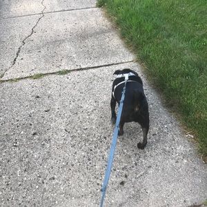 Meet your Posher, Carrin